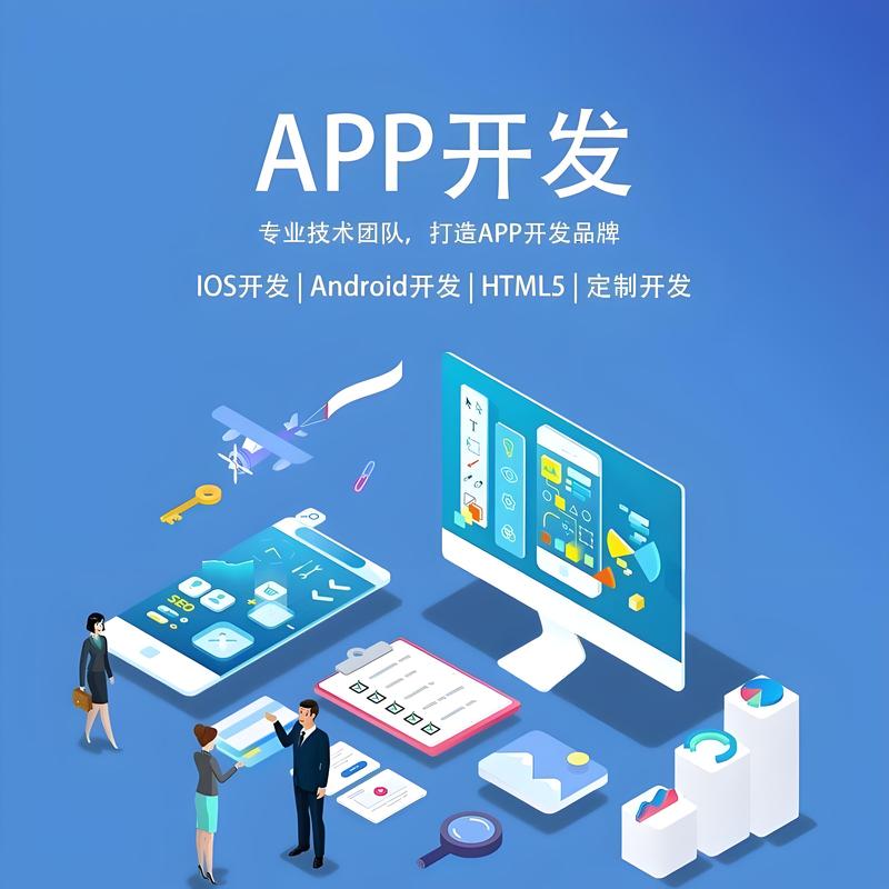 电商系统定制